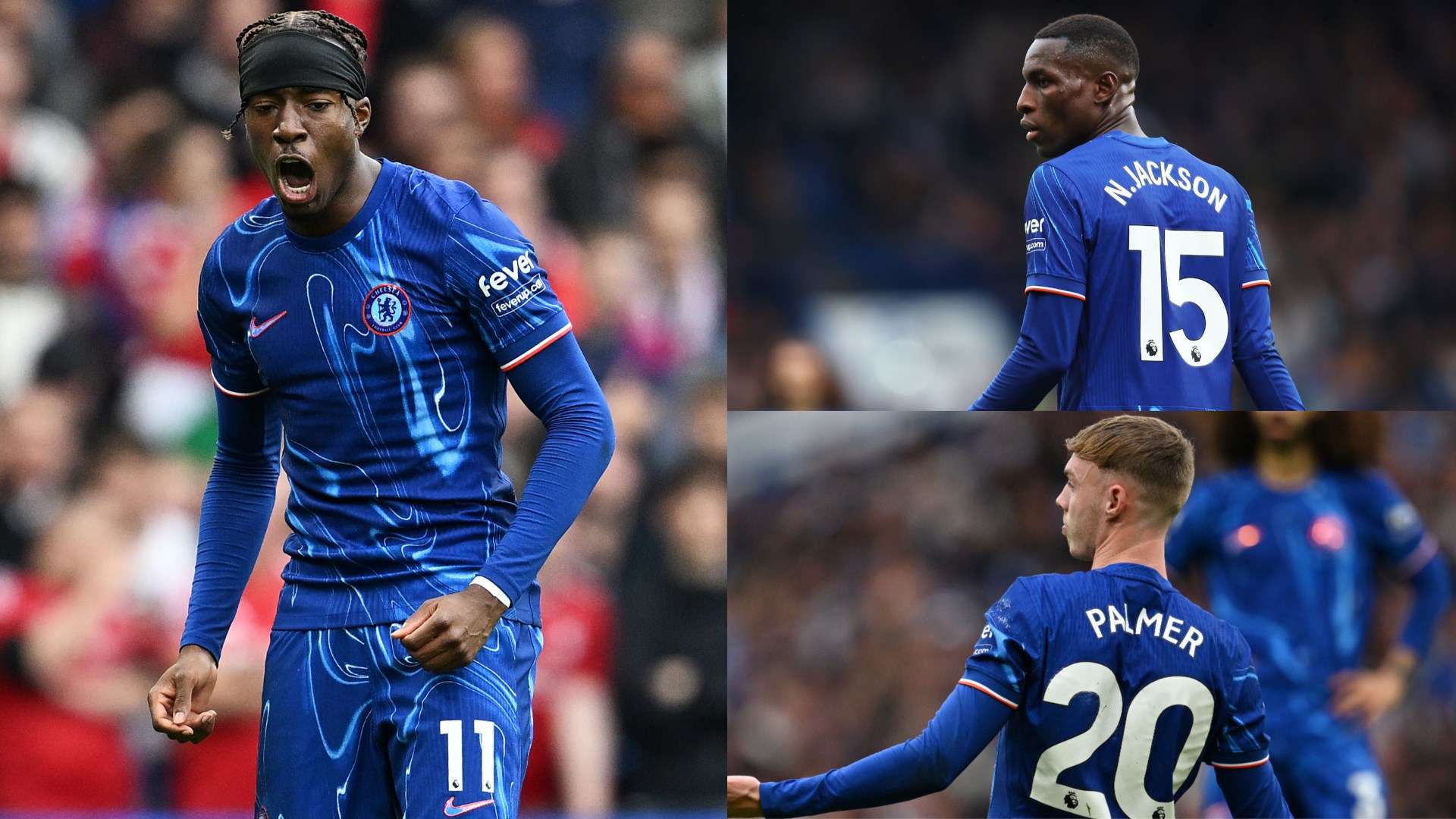 全的选择 全的选择