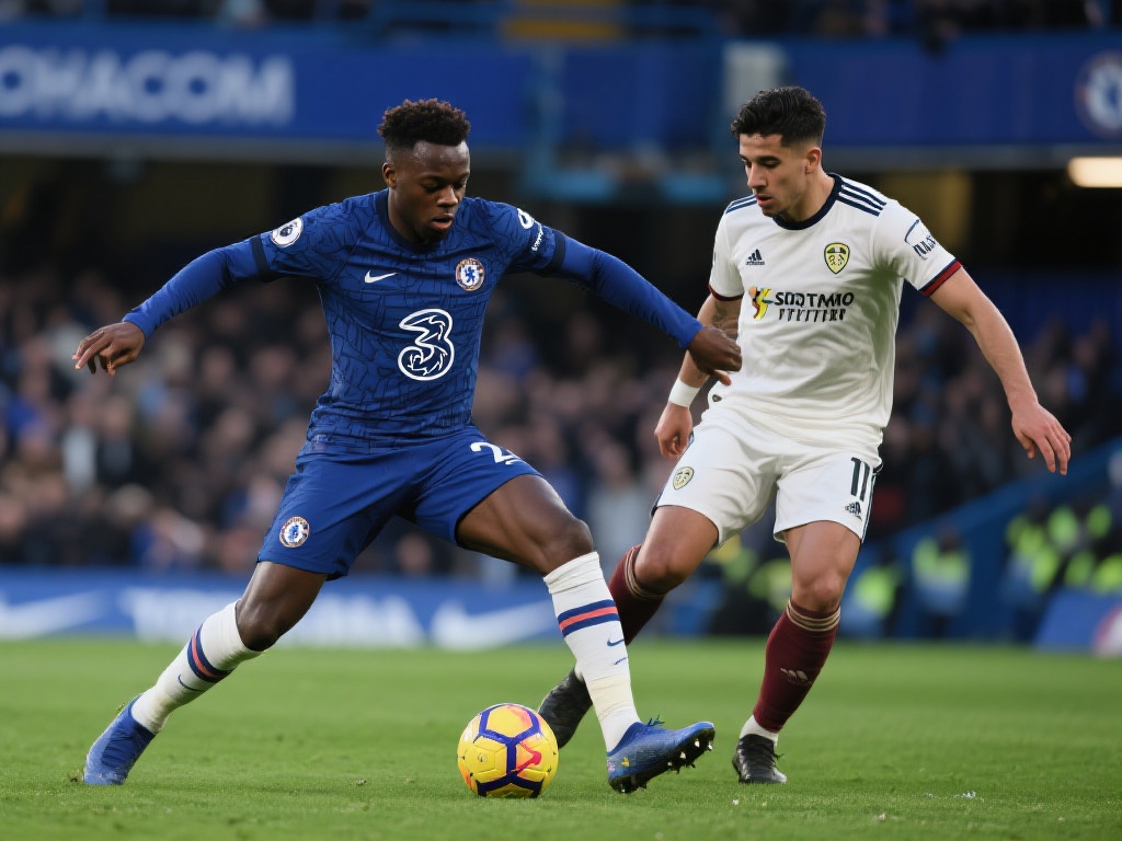 疑是夺冠热 疑是夺冠热